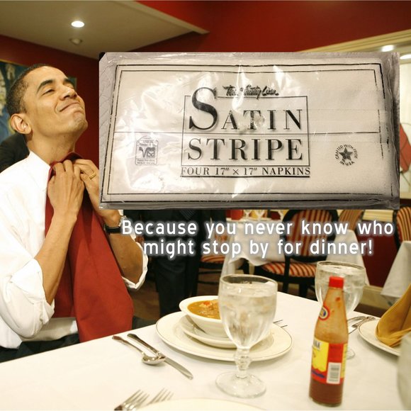 TOWN & COUNTRY LINEN Dinner Napkins NEW! - Picture 1 of 9